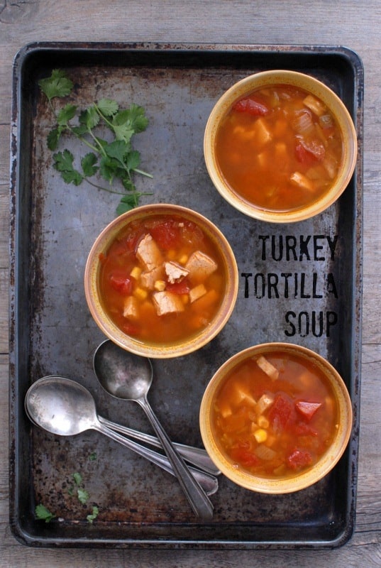turkey tortilla soup