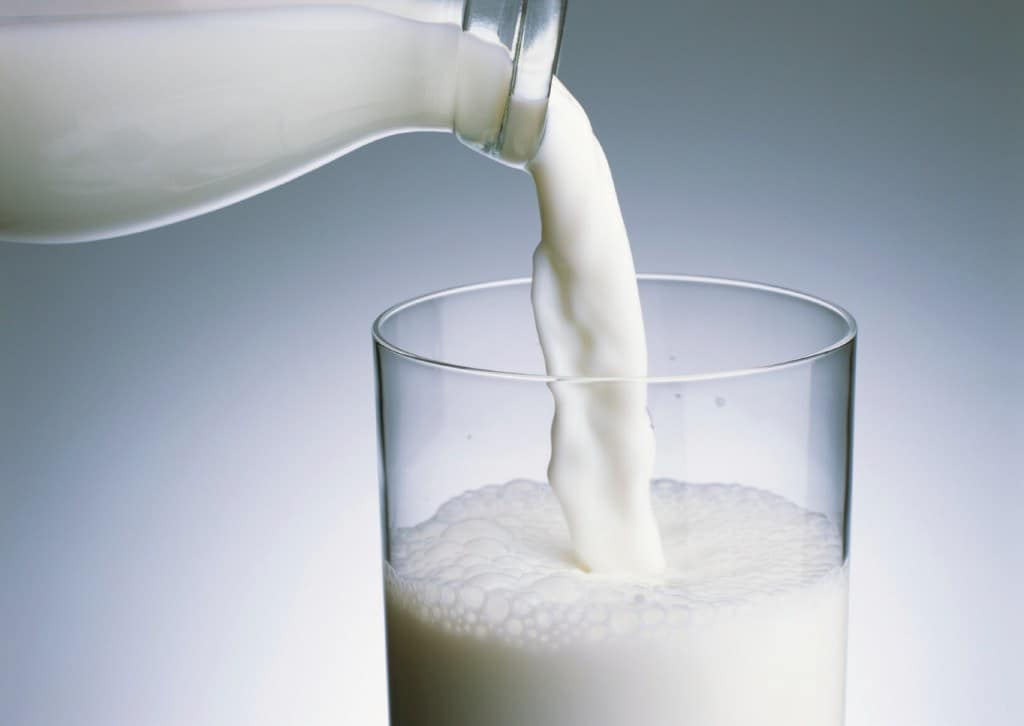 Best Lactose Free Milk for Lactose Intolerant