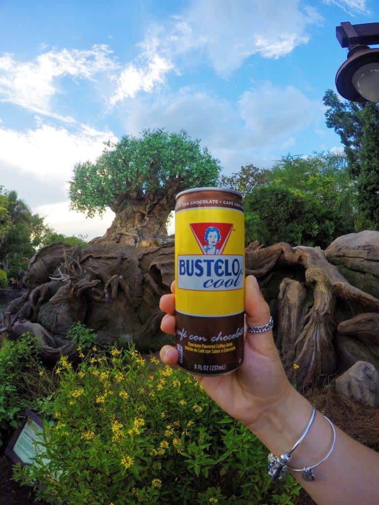 Bustelo Coffee at Disney World