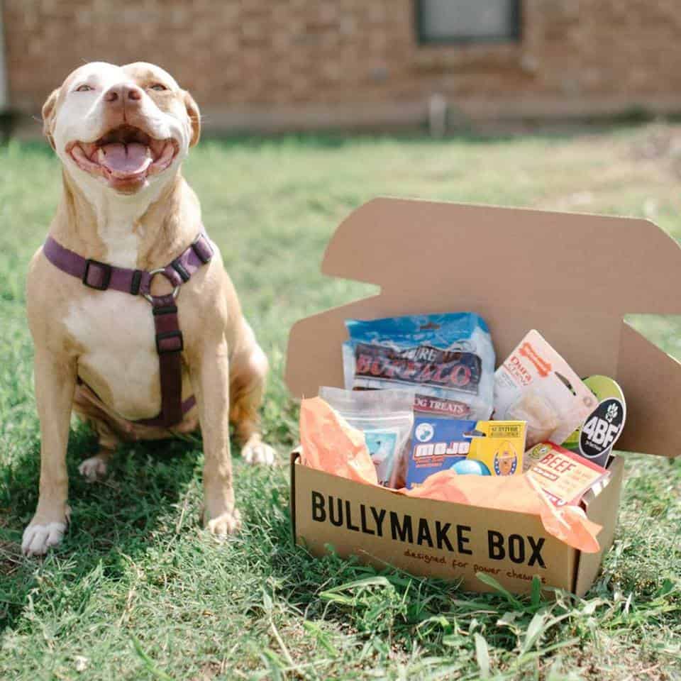 Bullymake Monthly Dog Toy Box