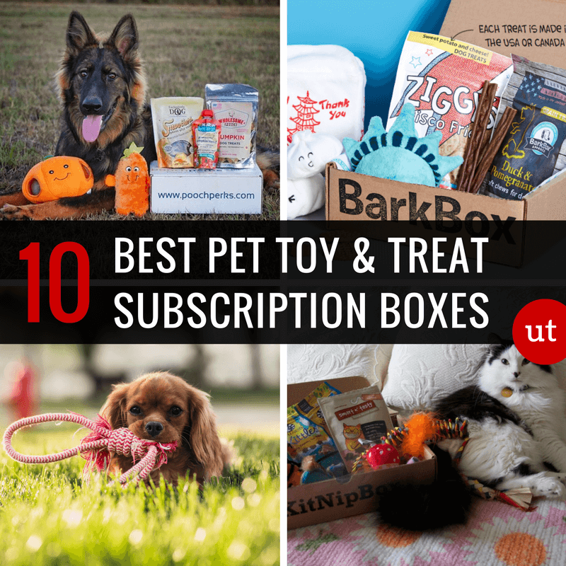 Best Dog Toy and Pet Toy Boxes