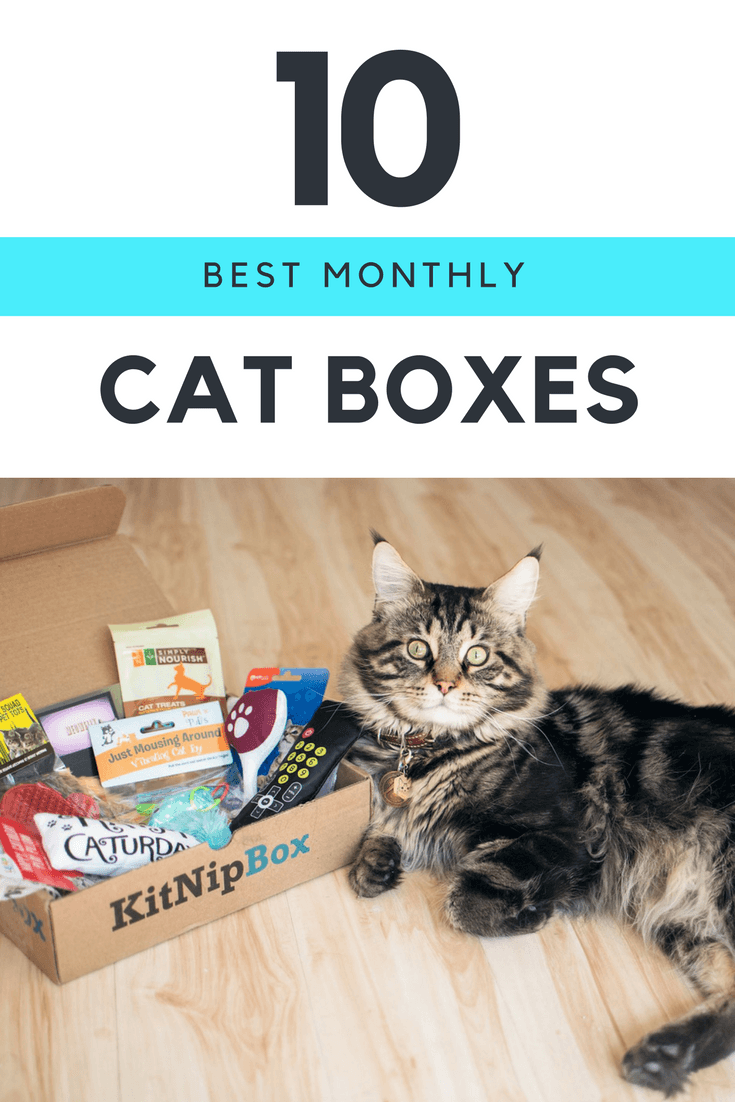Best Monthly Cat Boxes