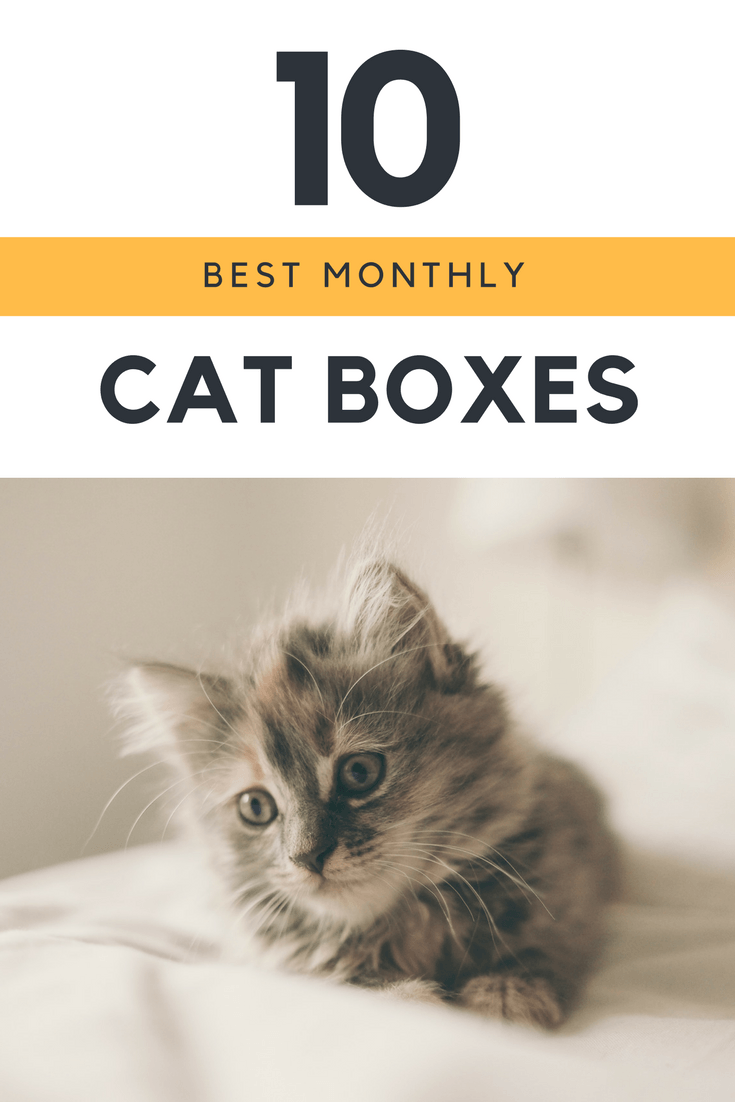 Best Monthly Cat Subscription Boxes