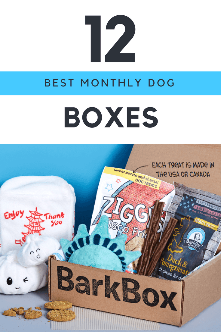 Monthly Dog Box