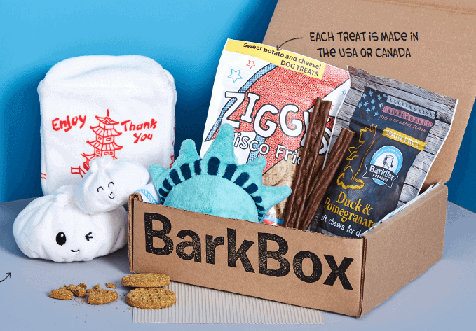 23 Best Pet Subscription Boxes for 2021 (Dogs, Cats, Birds, and More)