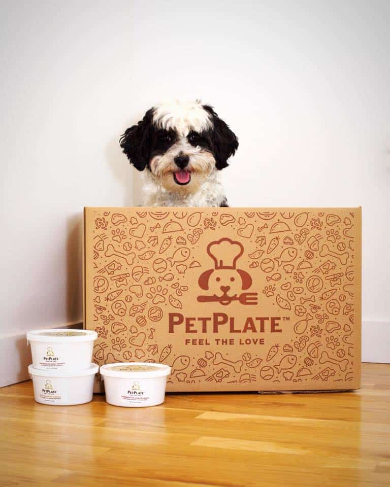 PetPlate Pet Food Subscription