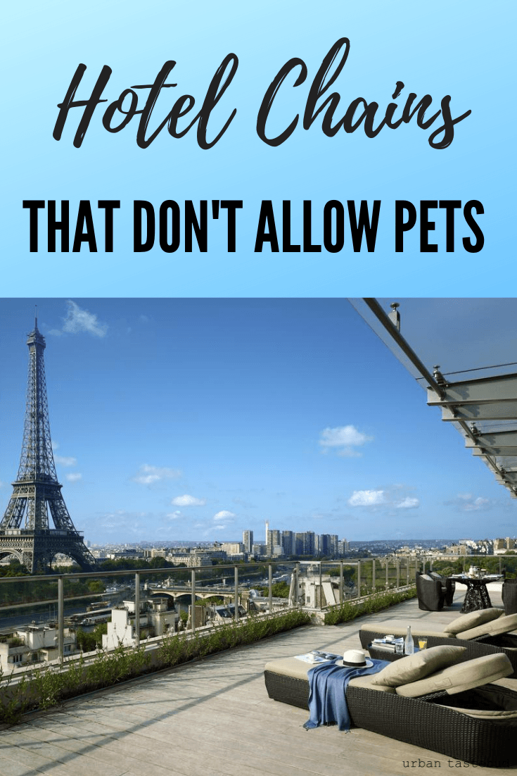 Hotels That Don't Allow Pets