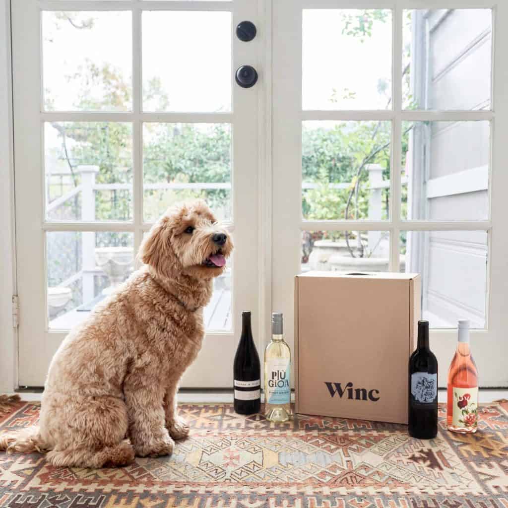 Winc Vegan Wine Subscription Box