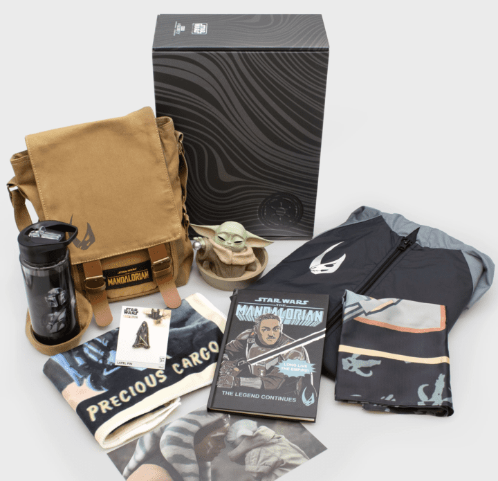 12 Best Disney Subscription Boxes (2023) - Urban Tastebud