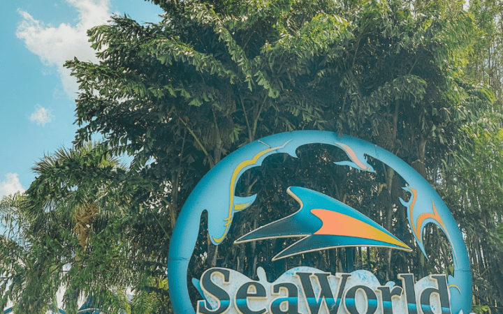 SeaWorld Orlando Rides without Height Requirements